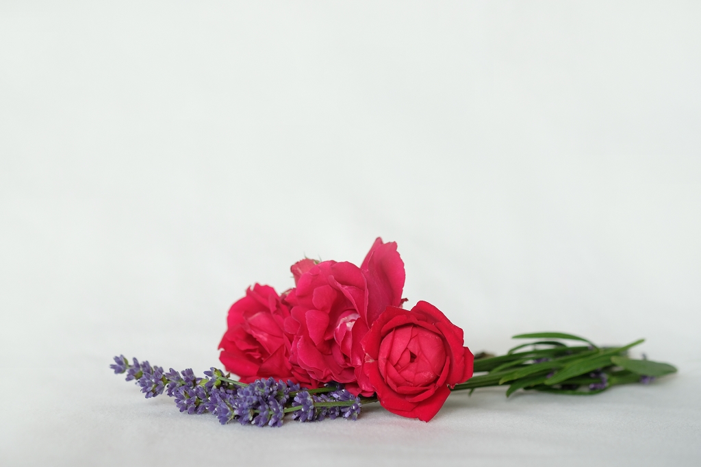 Erfahrungsbericht-Yoni-Steaming-Erfahrungen-Yoni-Spa-Köln