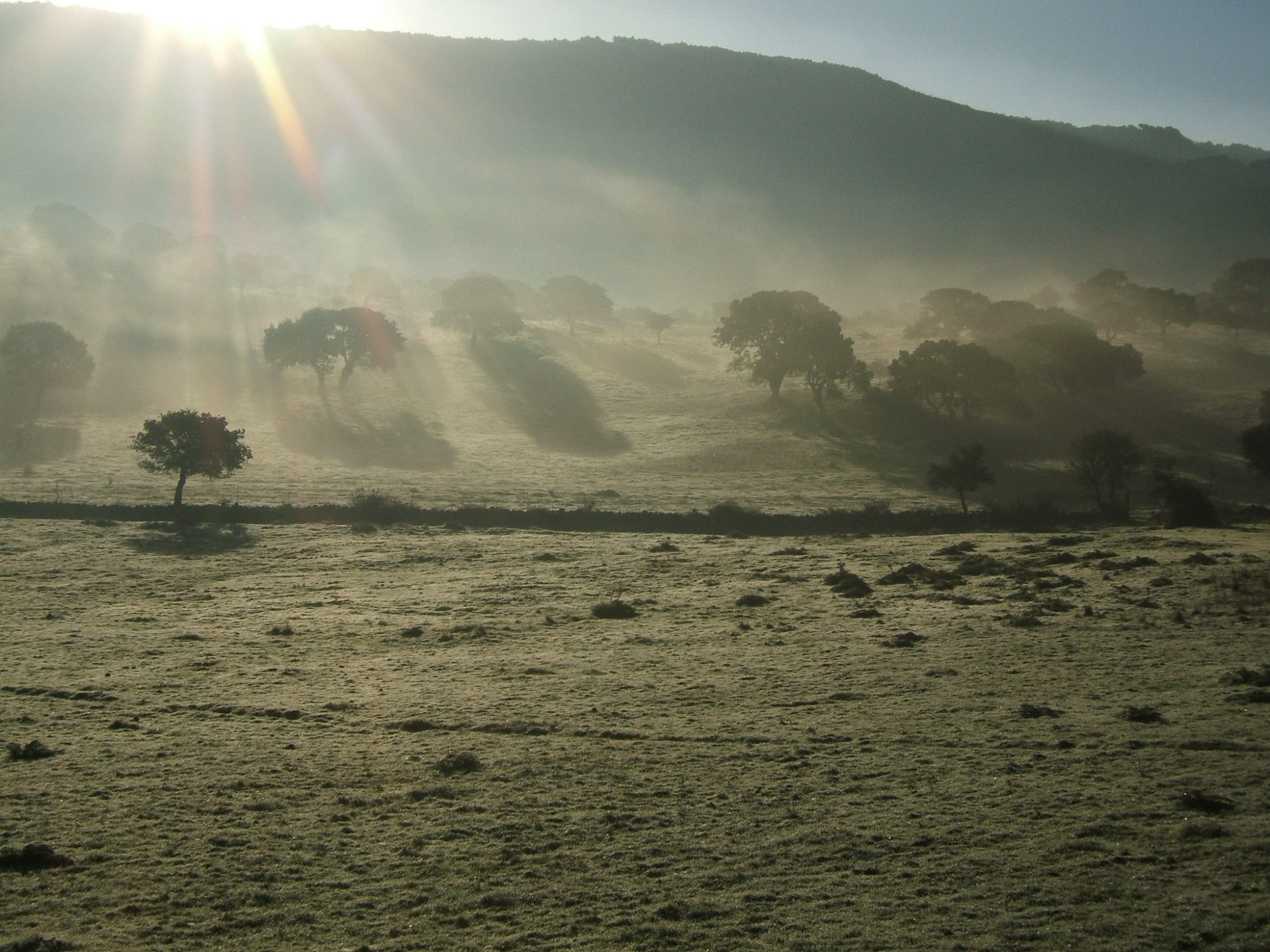 Ruhe - Entspannung - Yoni Spa - Gebärmutter